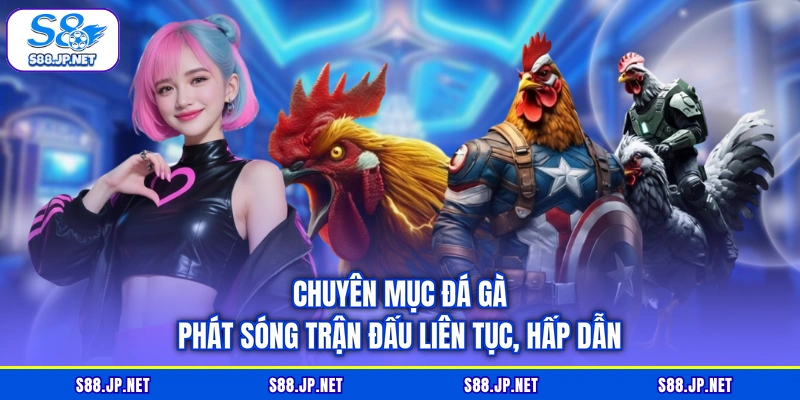 Chuyên mục đá gà phát sóng trận đấu liên tục, hấp dẫn Chuyên mục đá gà phát sóng trận đấu liên tục, hấp dẫn