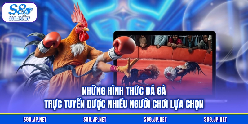 Những hình thức đá gà trực tuyến được nhiều người chơi lựa chọn Những hình thức đá gà trực tuyến được nhiều người chơi lựa chọn